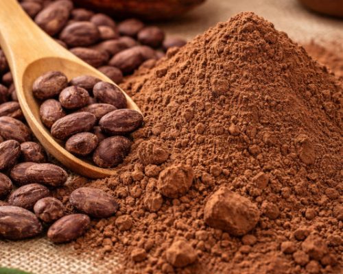 Polvo de Cacao
