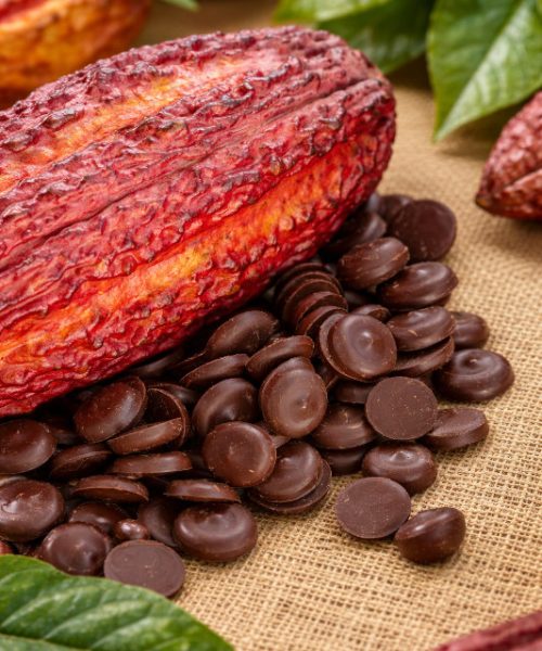 licor-de-cacao-obleas